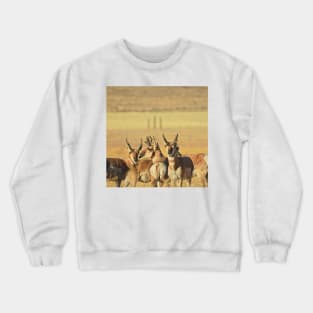 Pronghorn, antelope, wildlife, gifts, Life of the Herd Crewneck Sweatshirt